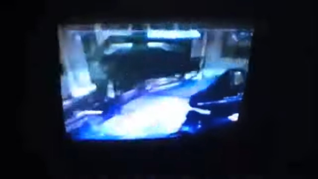 SurrealMediaFacts tweet media