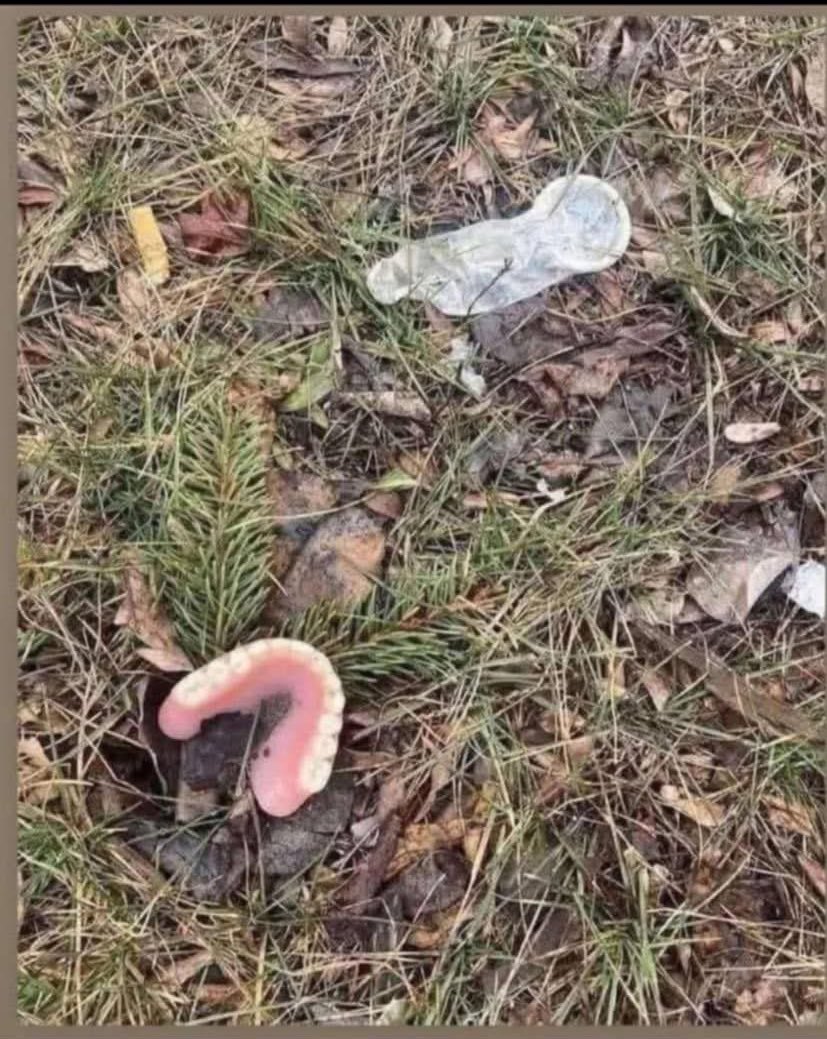 Papa Emeritus tweet media