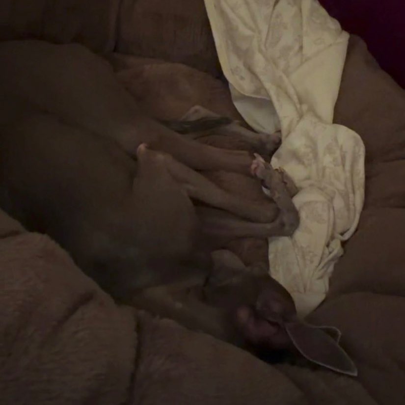 𝐦𝐚𝐫𝐢 🍡 tweet media