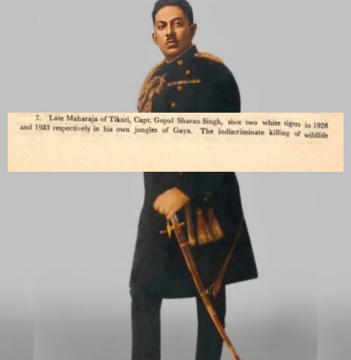 ZamindarSoul tweet media