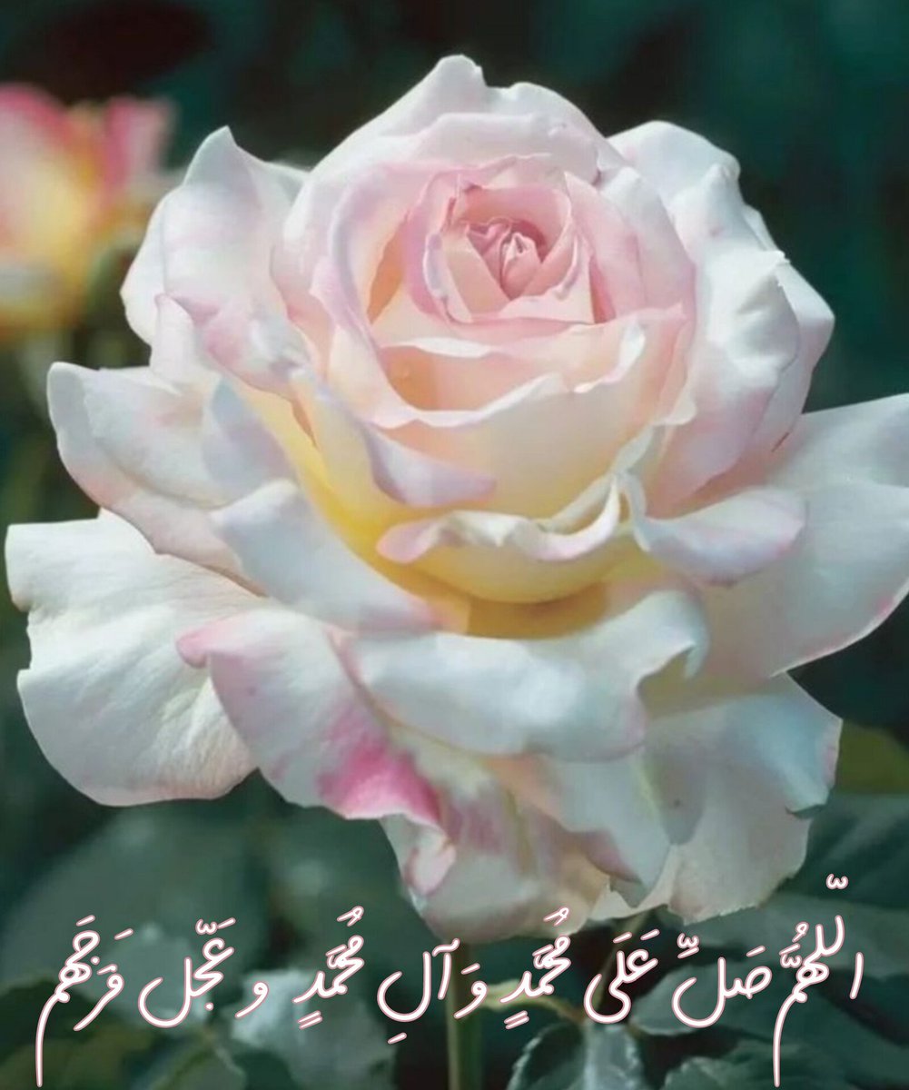 مهناز جعفری 🟩☫🟥 tweet media