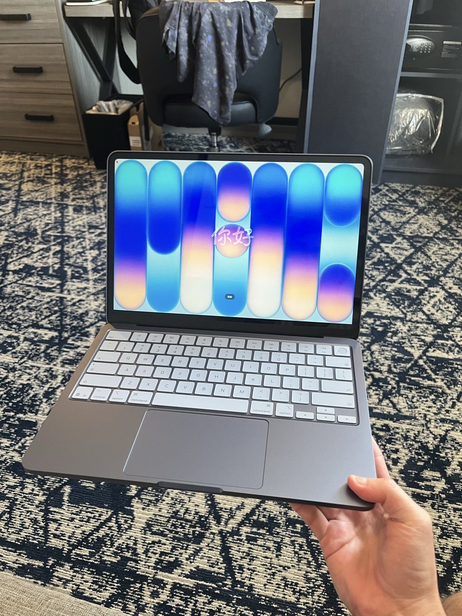 hedgedog tweet media