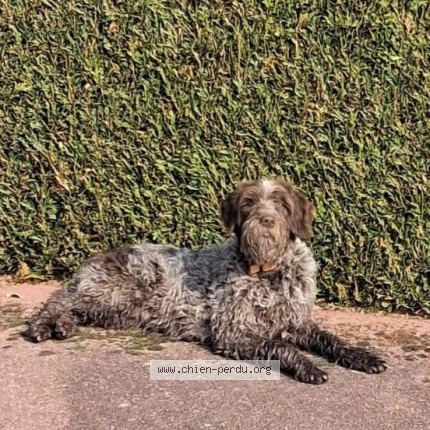 BRINDILLE85 💙🤍💔 🧡 tweet media