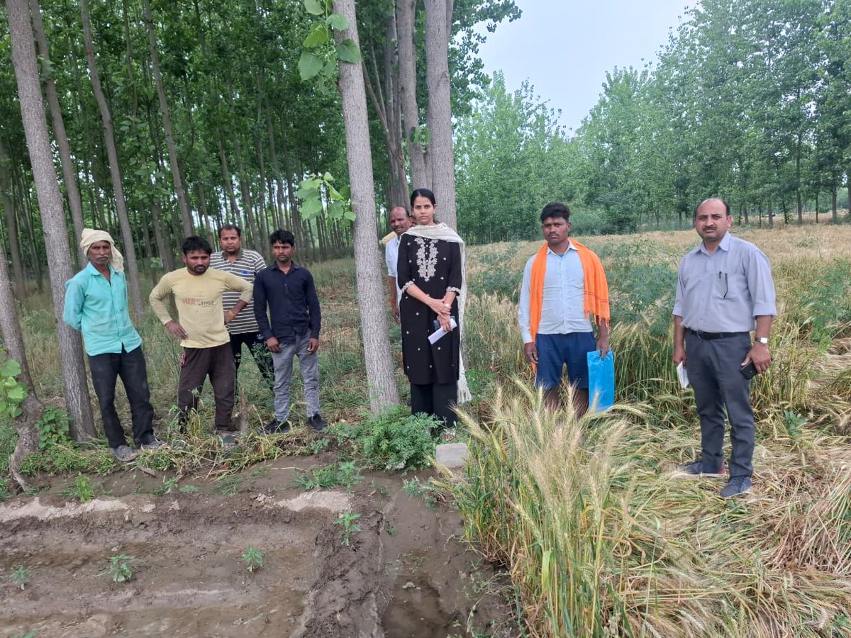 SDM Baheri tweet media