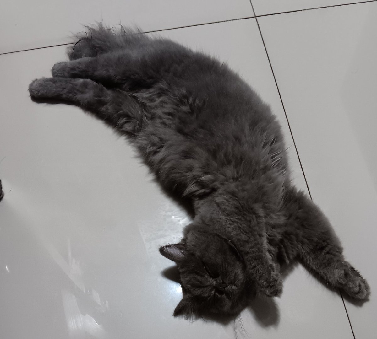 CC ๐ธ tweet media