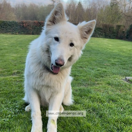 BRINDILLE85 💙🤍💔 🧡 tweet media