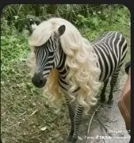 cali ⛅ | pobmeksolar era 🎀 tweet media