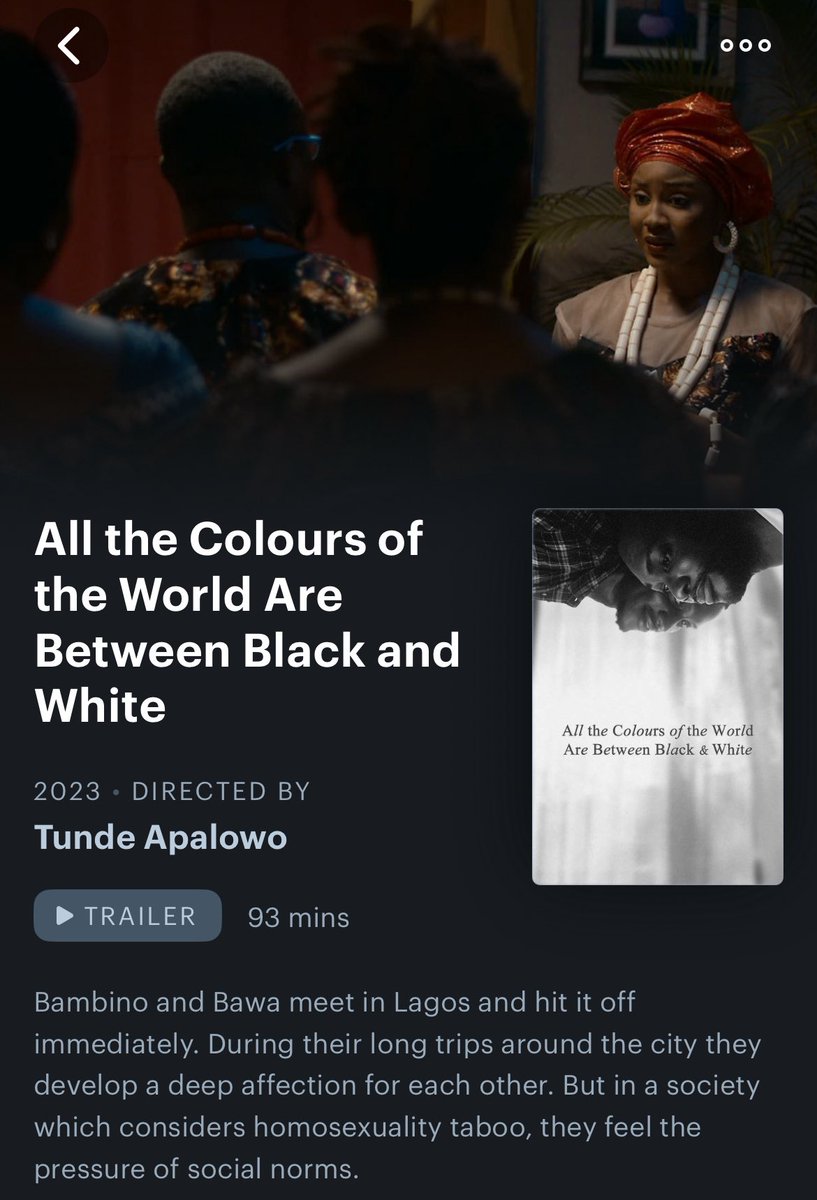 lulu📽 tweet media