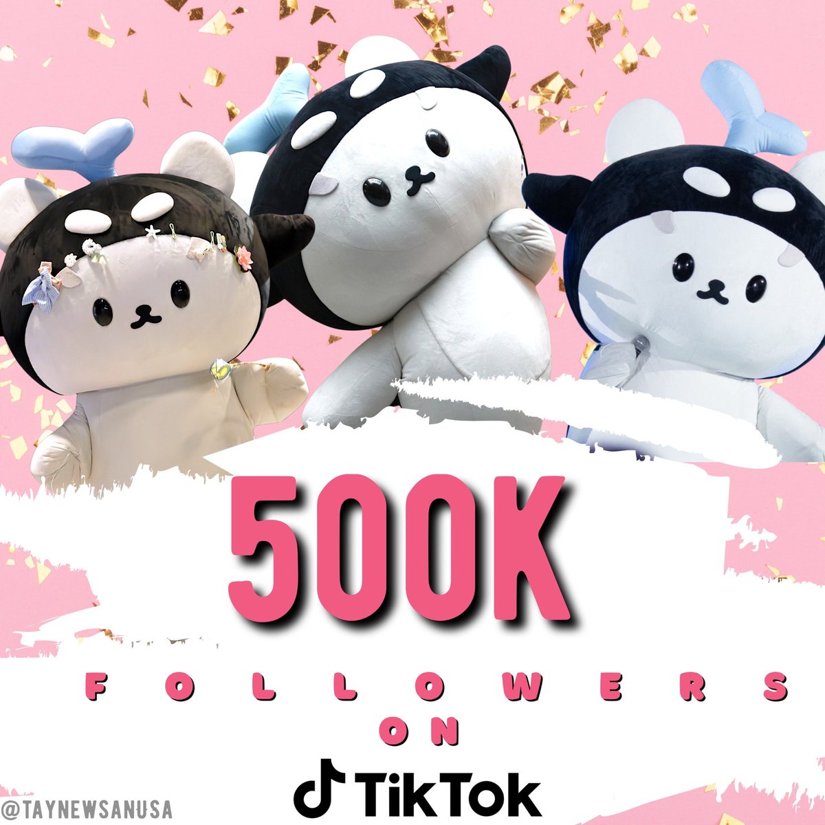 TayNewSan USA tweet media