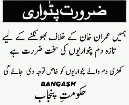 وقار آیاز احمد tweet media