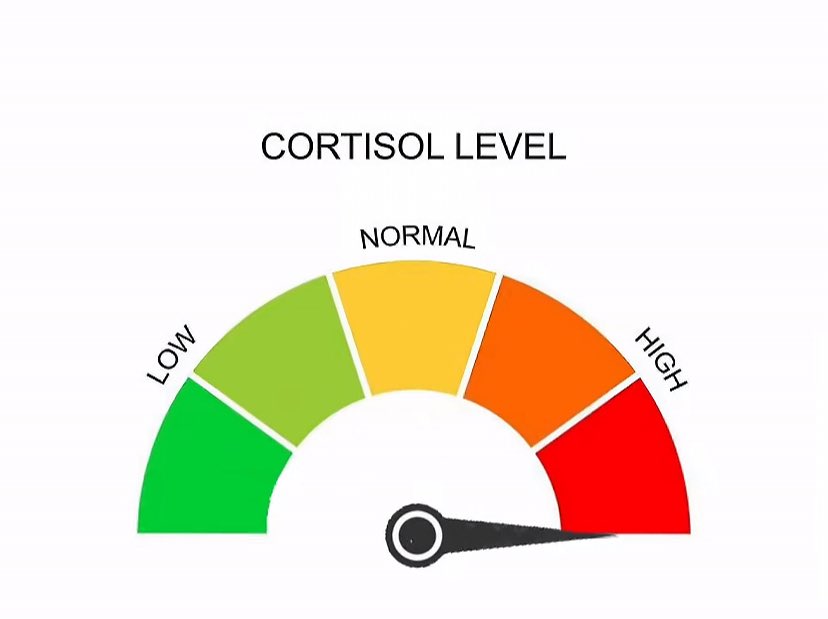 Teo kapeta tweet media