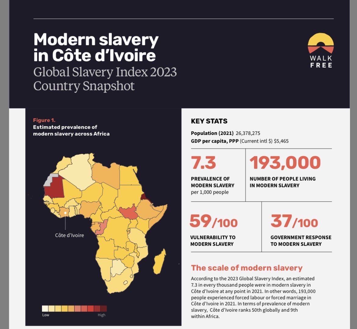 nelly🇨🇩🇺🇸 tweet media