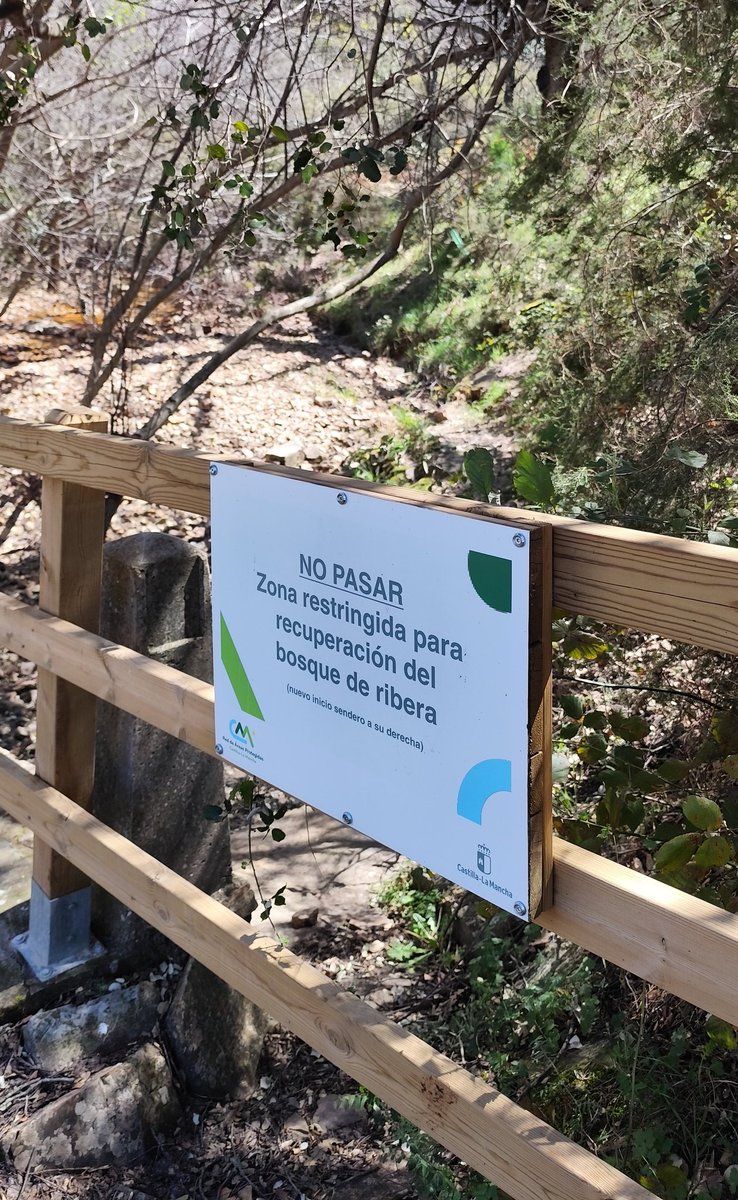 Rockrose Rider tweet media