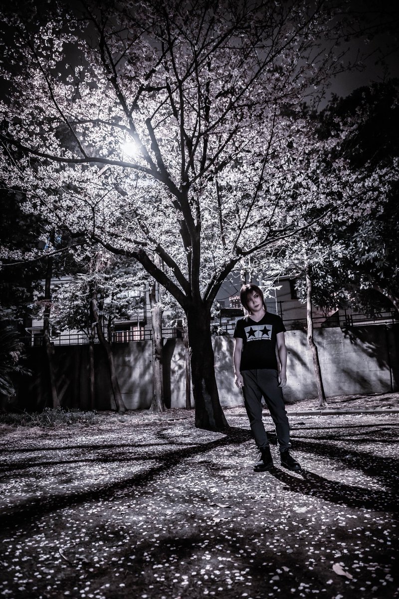 SuganumaPhoto's tweet photo. 作品撮り : 鬼龍院翔

華やかなものを撮っていると、
2,3枚目みたいのも撮りたくなるよね📷🌸

撮影：菅沼剛弘
(@SuganumaPhoto)
ヘアメイク：tomoka sasagawa
(@TOMOKA0923)

#鬼龍院翔 #ゴールデンボンバー
#TSフォト https://t.co/C83jhAXfxu