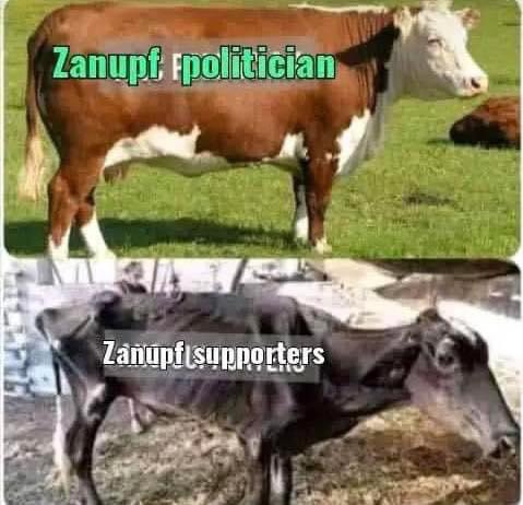 Nhamodzenyika Tururu Tumbare tweet media