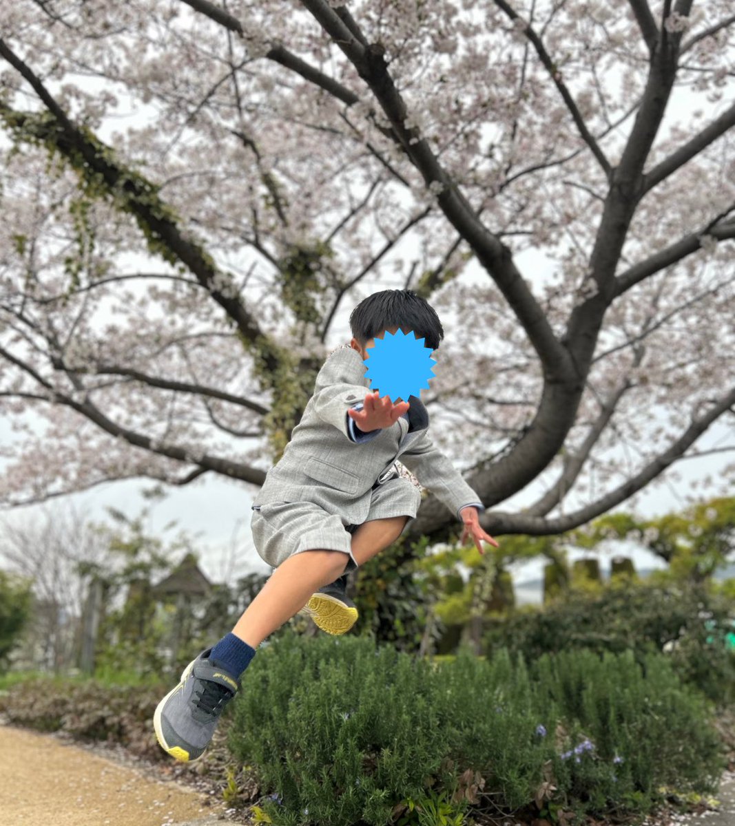 ささ🎋愛妻家✖︎3児の父 tweet media