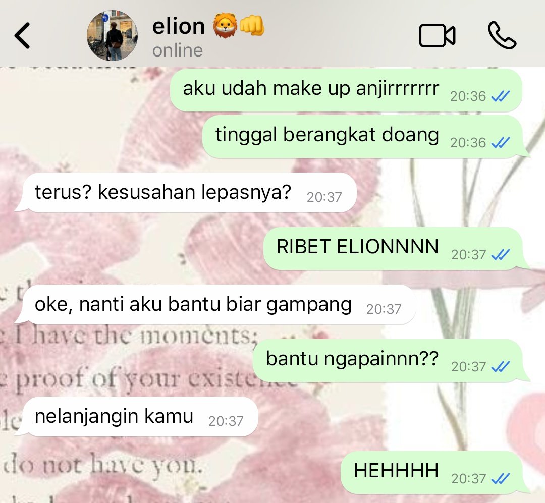 reychan☆ tweet media