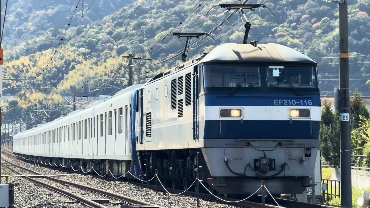 ハリハリ tweet media