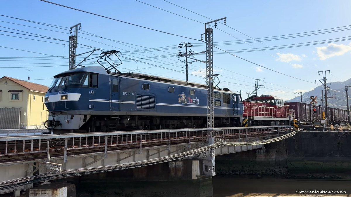 ハリハリ tweet media