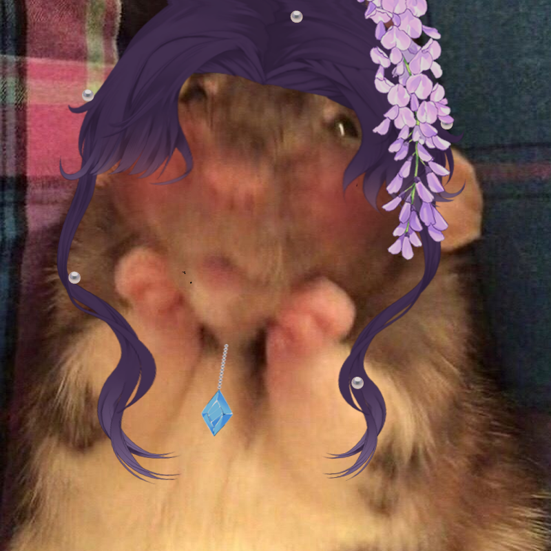 ItsNennaVerse's tweet photo. Someone tampered with my reincarnation spell.
I was supposed to return as a villainess…
not a rat with purple hair.
Chat am i still pretty??
#VTuber #ENVtuber #VillainessVTuber #NennaVerse #RatVTuber https://t.co/qRD6L6pg80