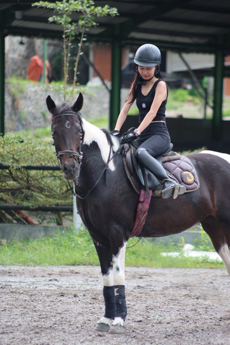 yang mulia tweet media