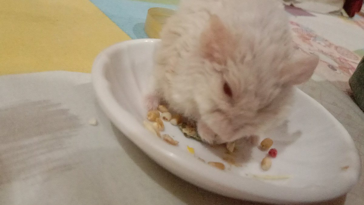nom nom nom nom nom nom nom