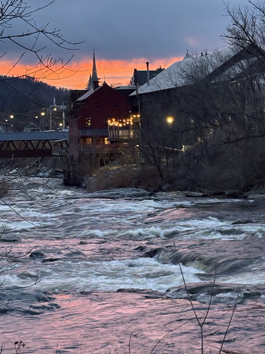 Tim Bailey tweet media