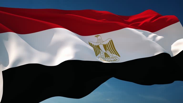 مُحَّمَدٌ المُسلِمَاني tweet media