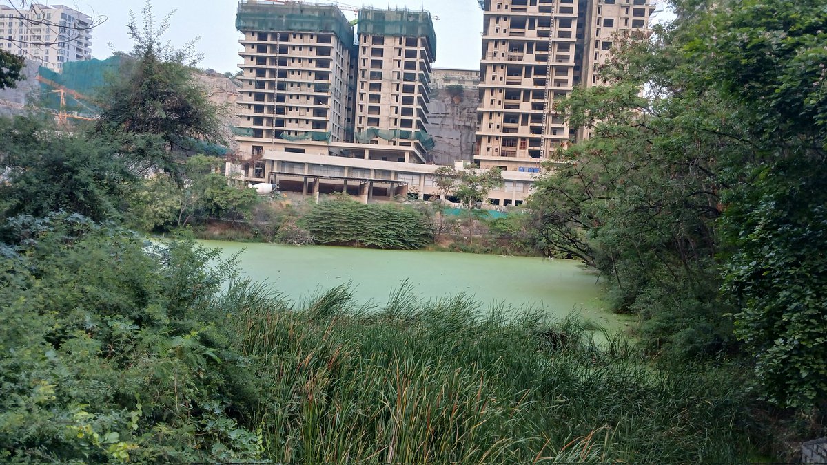 Mohammed Saleemuddin Khan tweet media