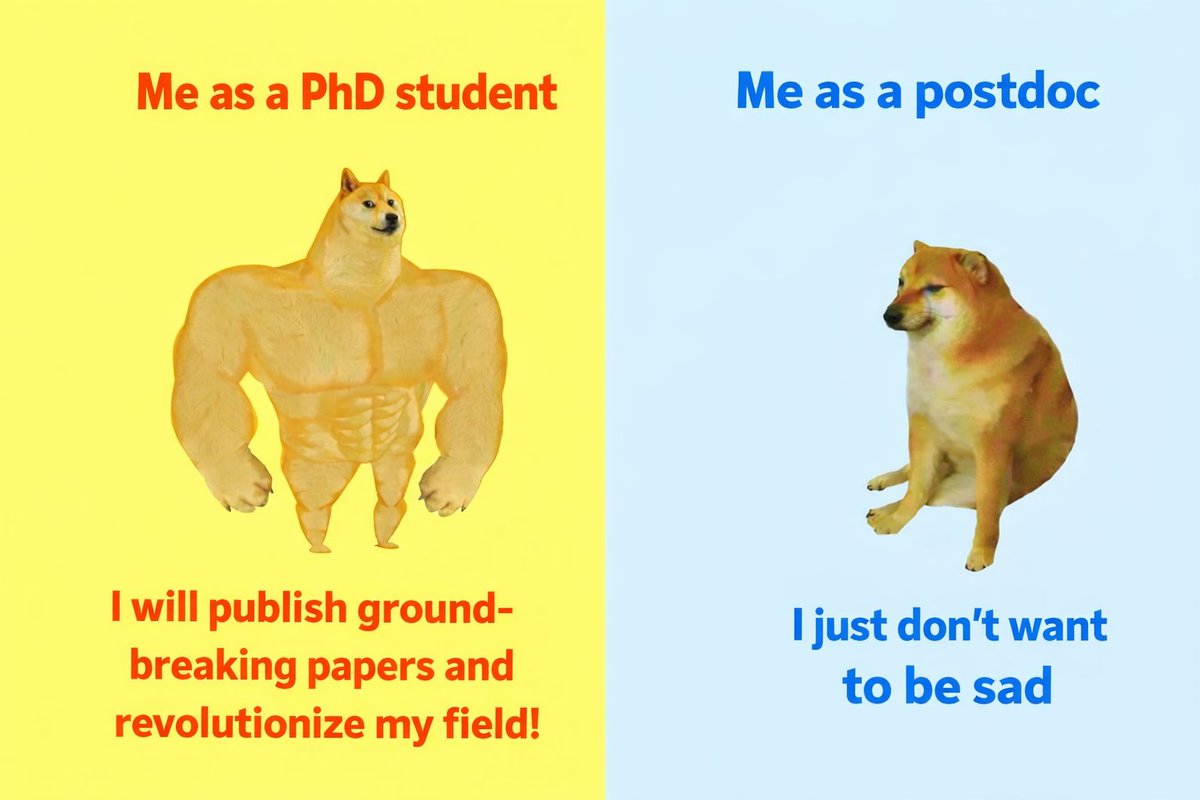 DrChhattal's tweet image. Me as #PhD student Vs #Postdoc. 
Postdoc life hits different.
#Postdoclife