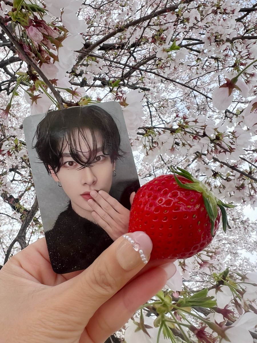 🐱ིྀ yonbonbon ˑ♡ྀི 🍓ྀི tweet media