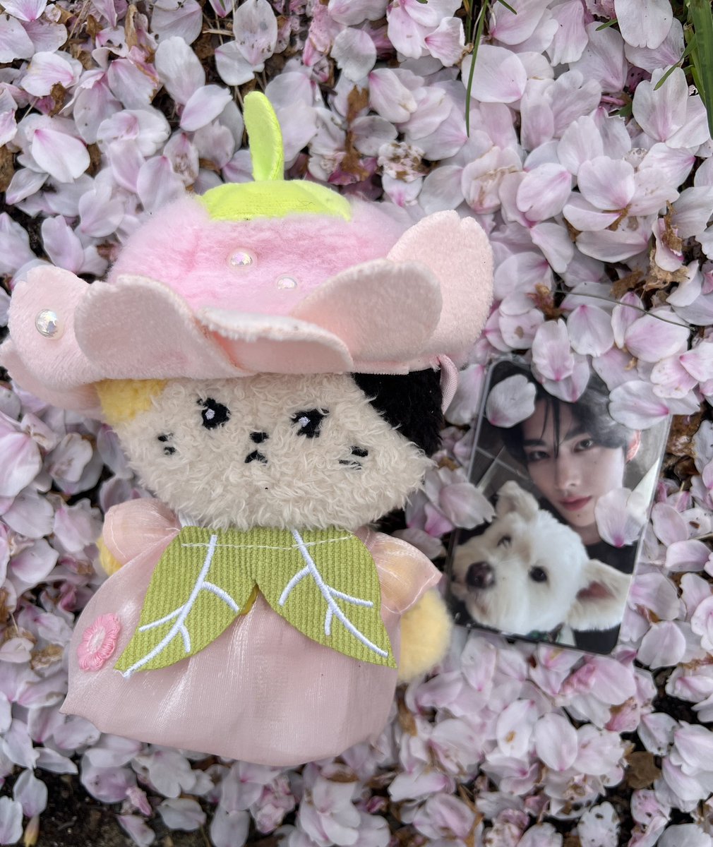 🐱ིྀ yonbonbon ˑ♡ྀི 🍓ྀི tweet media