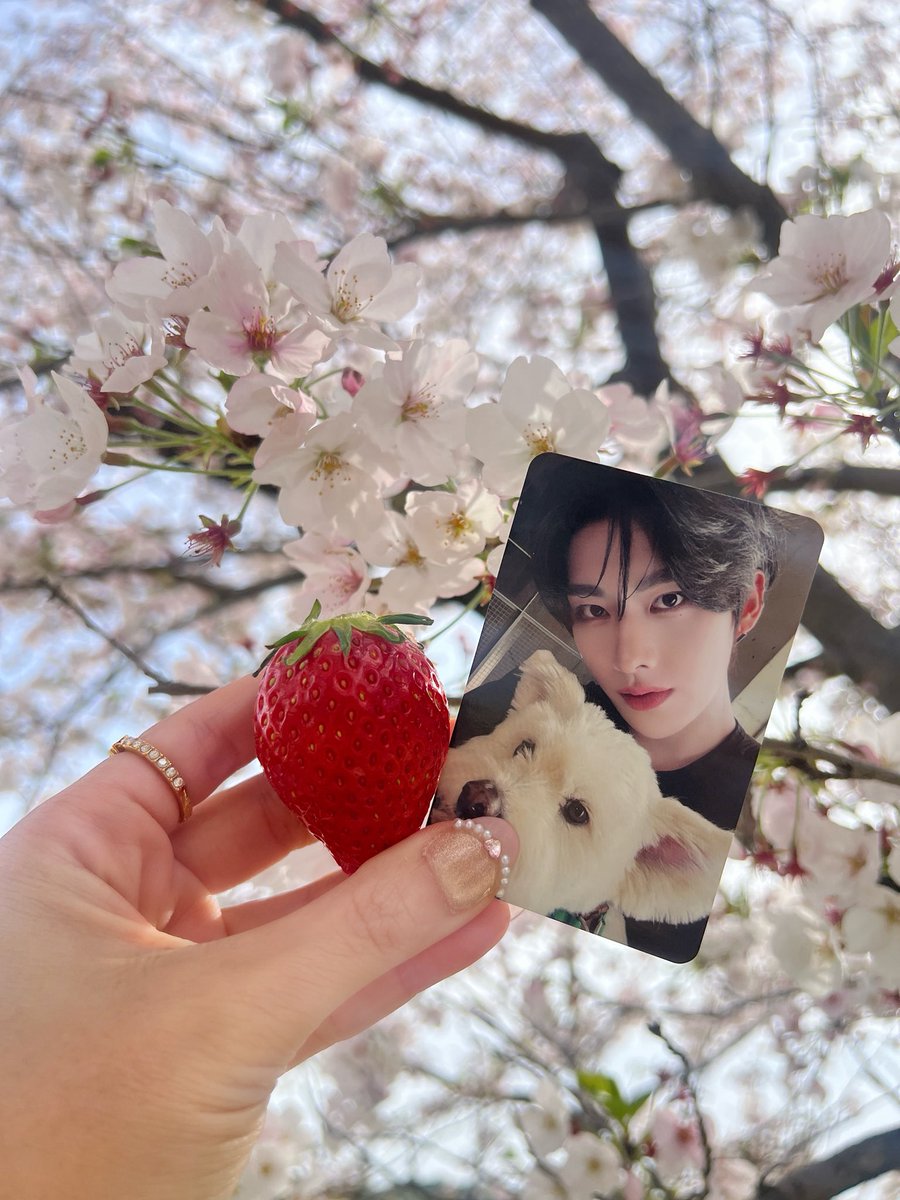 🐱ིྀ yonbonbon ˑ♡ྀི 🍓ྀི tweet media