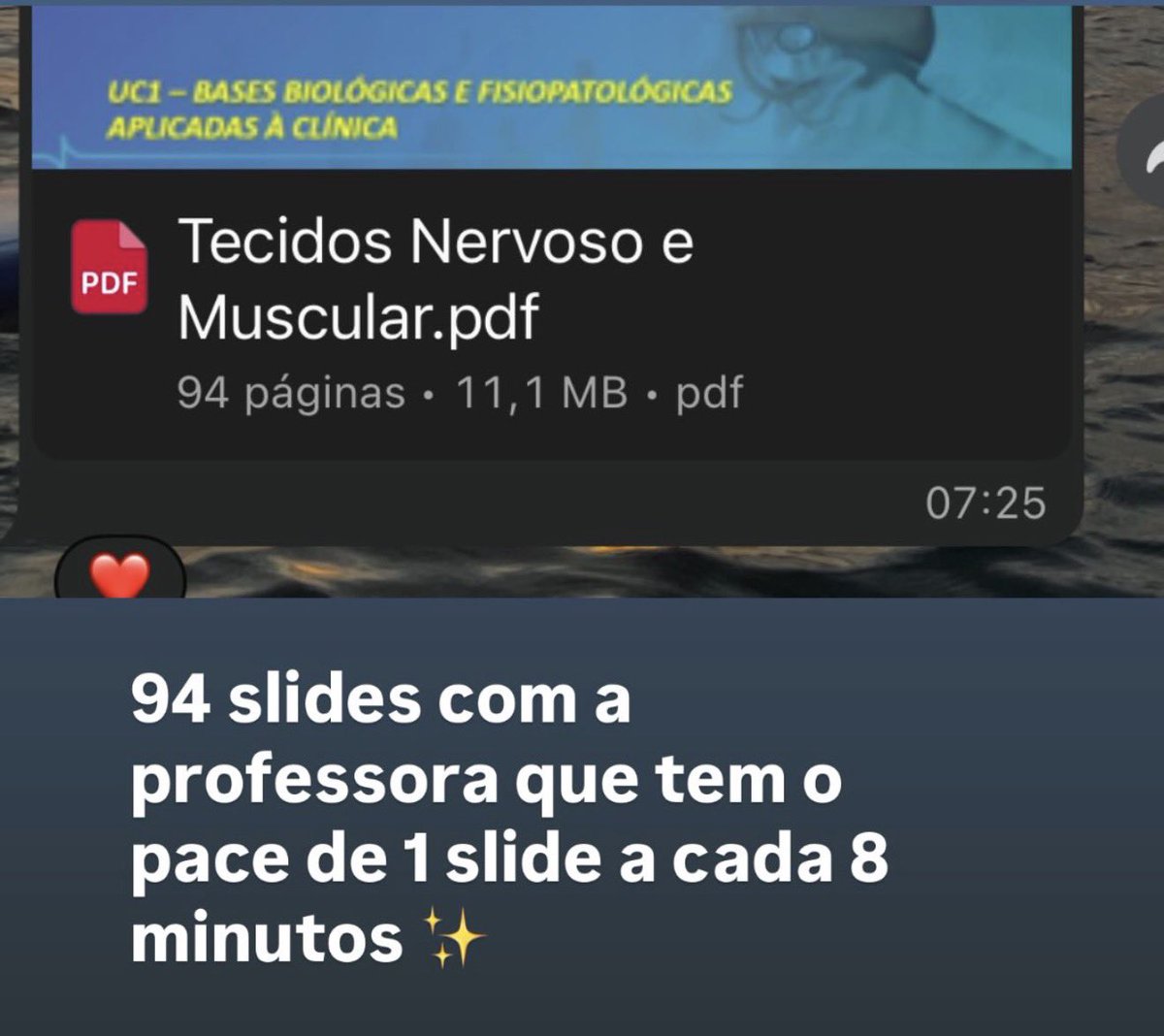 Bernardo Ciminelli tweet media