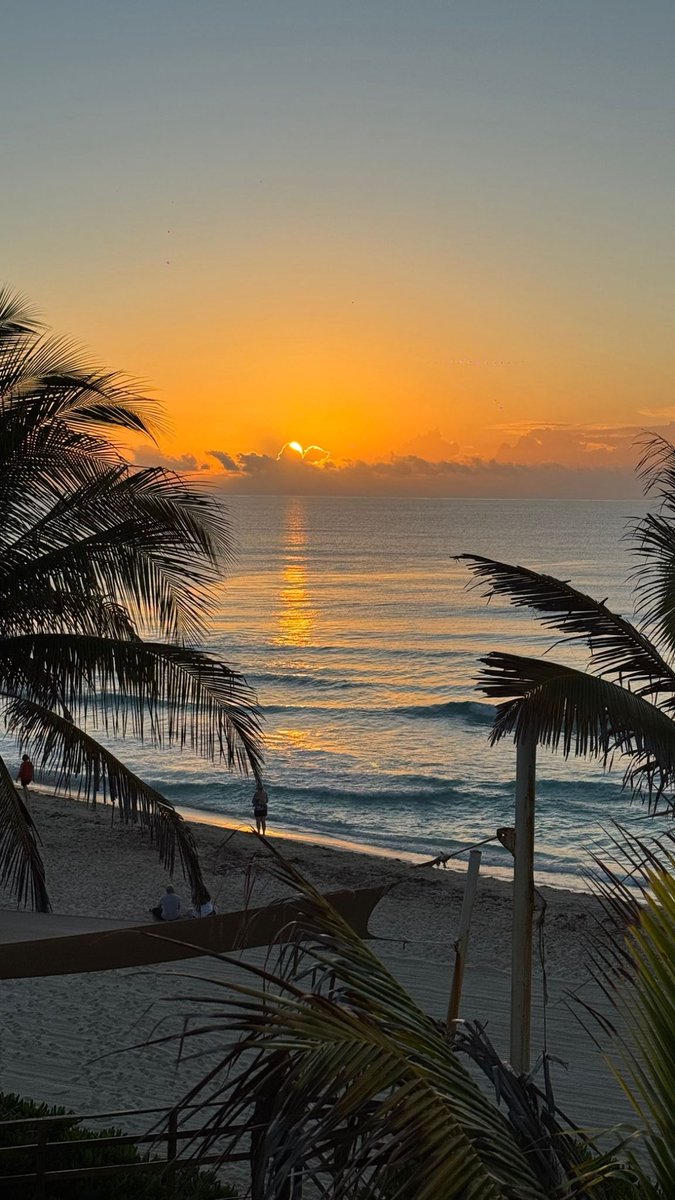 maría ★ tweet media