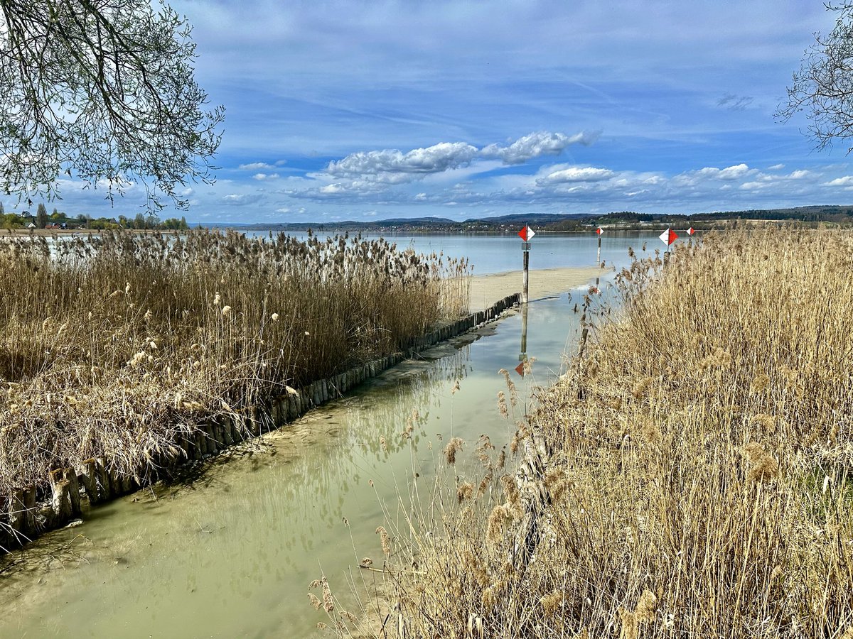 Annabaesle's tweet photo. #Reichenau #Bodensee #Radeln
Inselglück
6.4.26
🧵👇 https://t.co/v5TCV39C1o