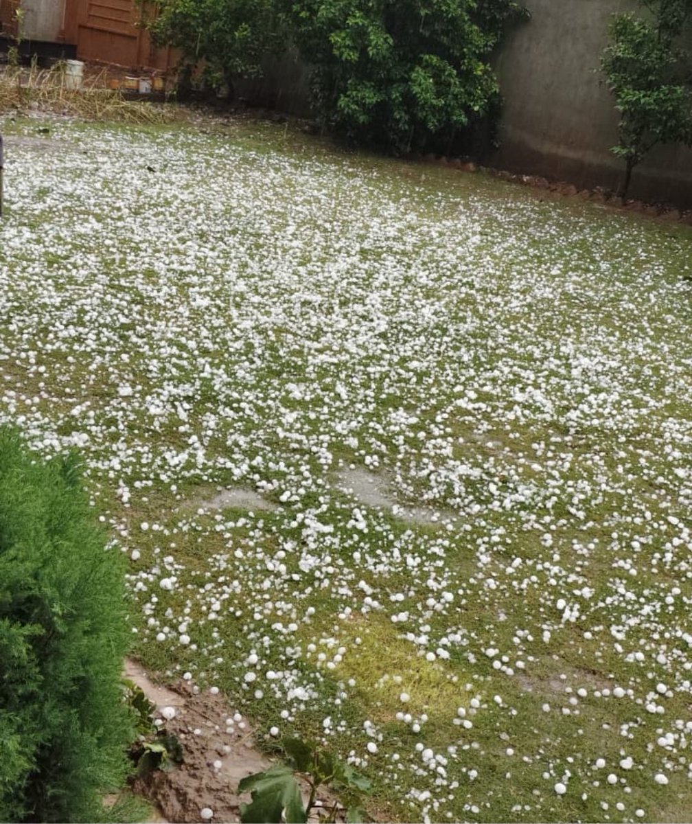 انعم tweet media