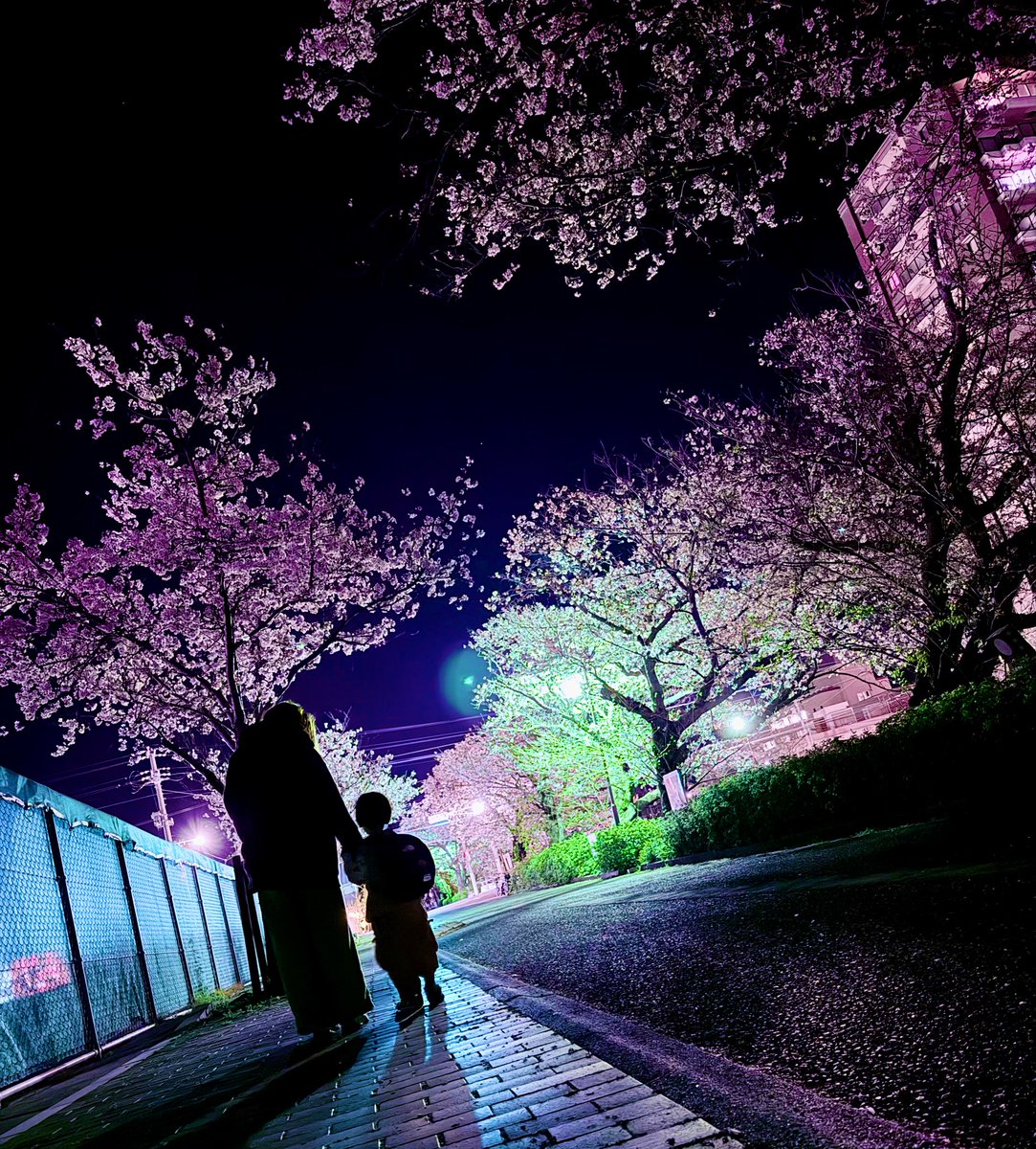 月翼遥@レーマス tweet media