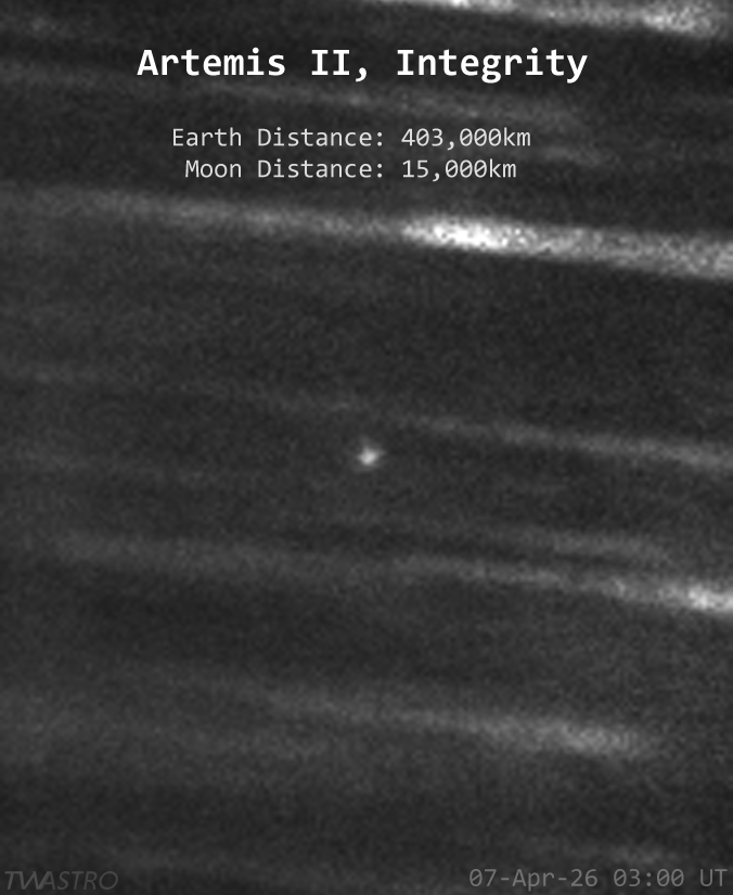 Tom Williams tweet media