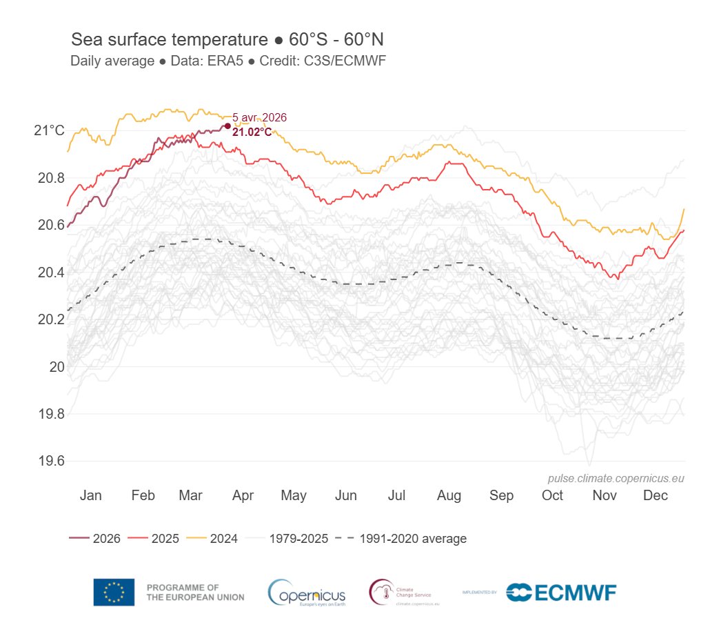Dr. Serge Zaka (Dr. Zarge) tweet media