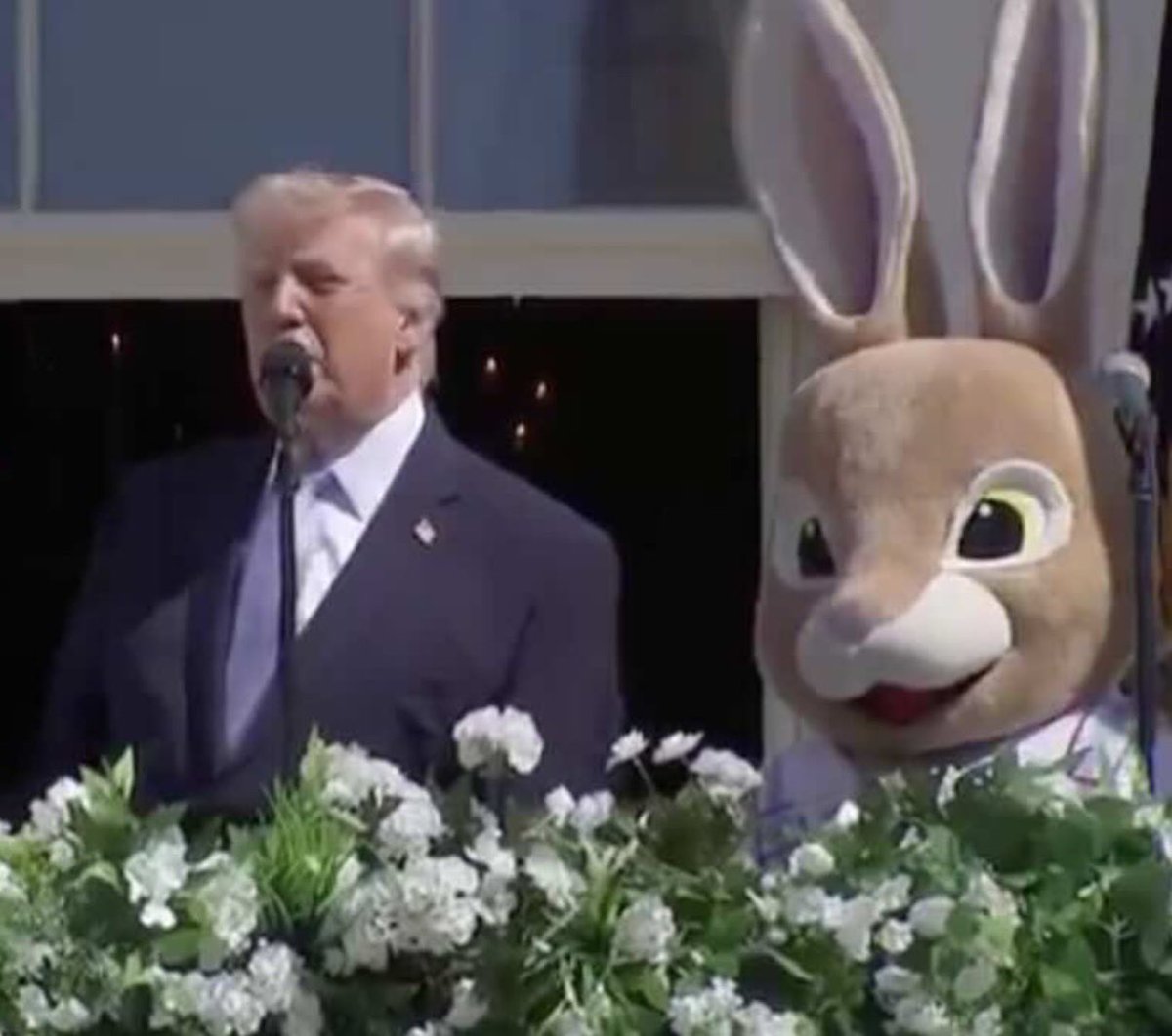 Luca Speciale tweet media