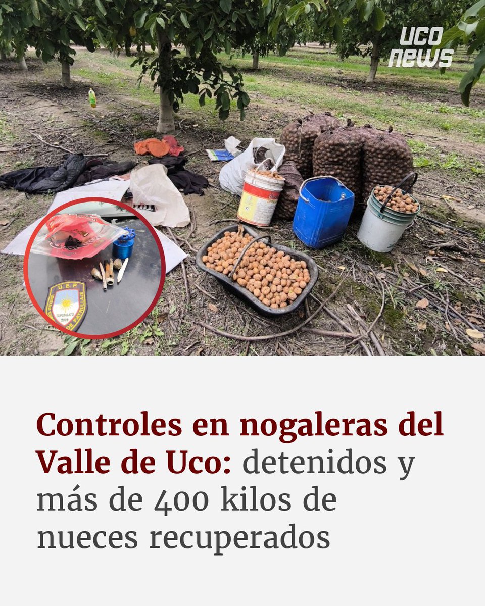 uconewsar's tweet photo. 🚓 Operativos policiales en Tupungato y Tunuyán permitieron frenar robos rurales, secuestrar producción sustraída y recuperar un celular tras una denuncia al 911.

🔗 https://t.co/zkLFK1oCtk https://t.co/2ZMiR36WKz