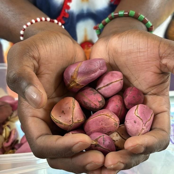 Trenches 🦂 tweet media