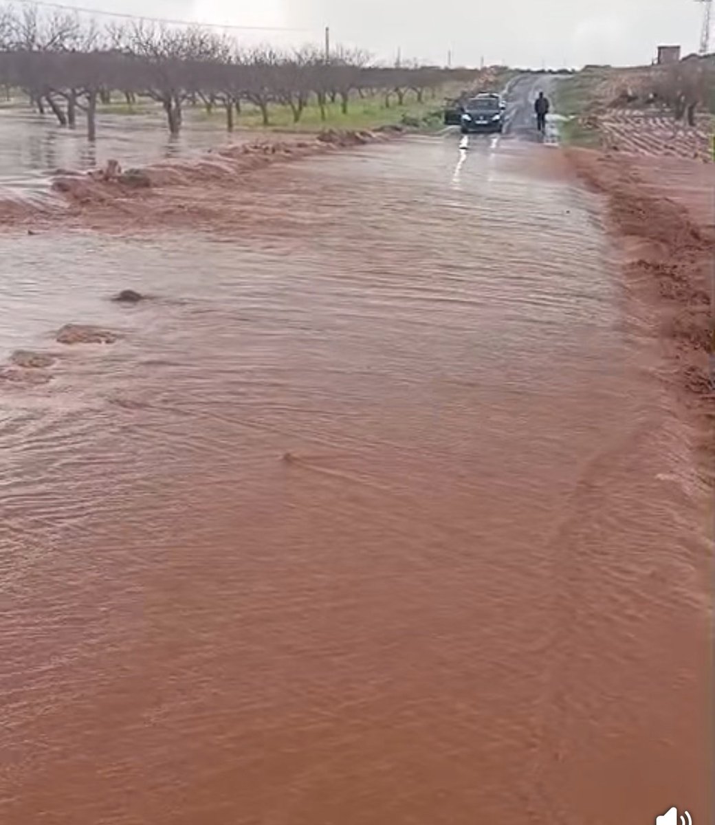 URFASTAR #urfahepimizin tweet media