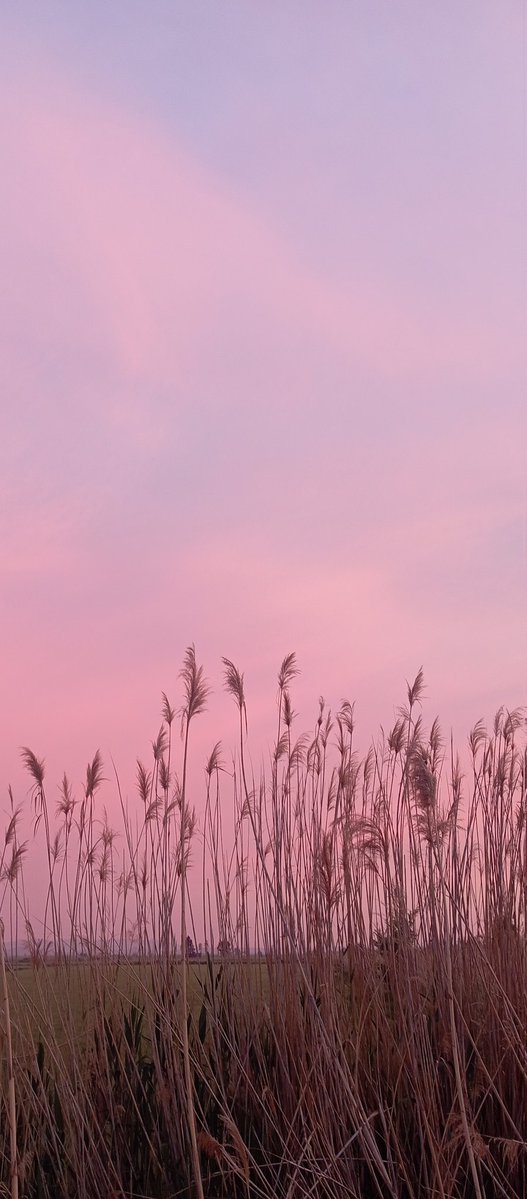 Hey, Bora! 🥃 tweet media