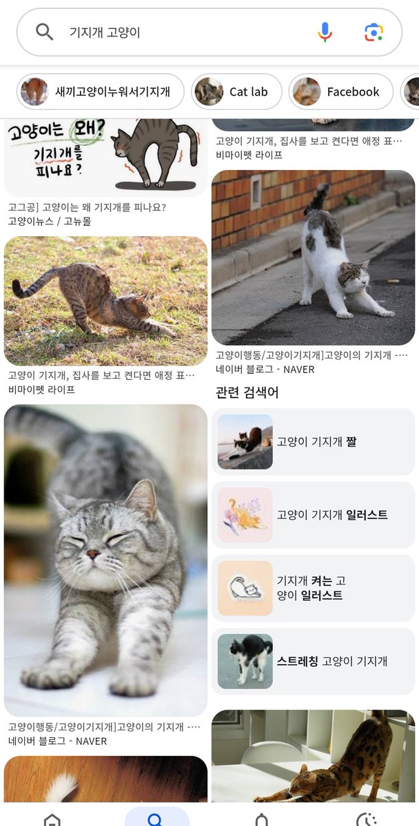 왕밤빵 tweet media