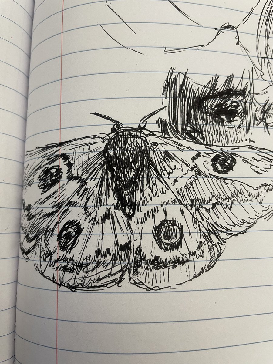 violet 🌊 tweet media