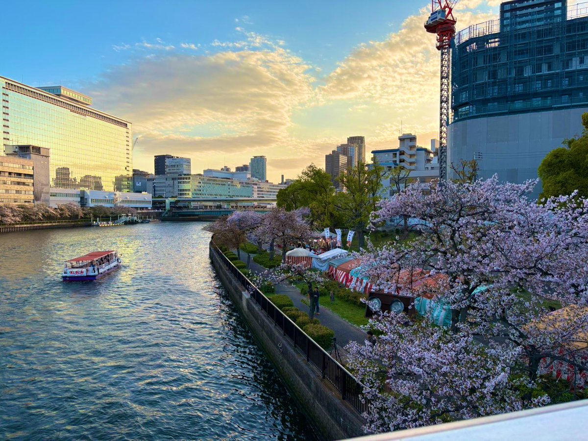 ailu_dqx's tweet photo. 🌸⚓️🚢 https://t.co/8oF4Ke0VfQ