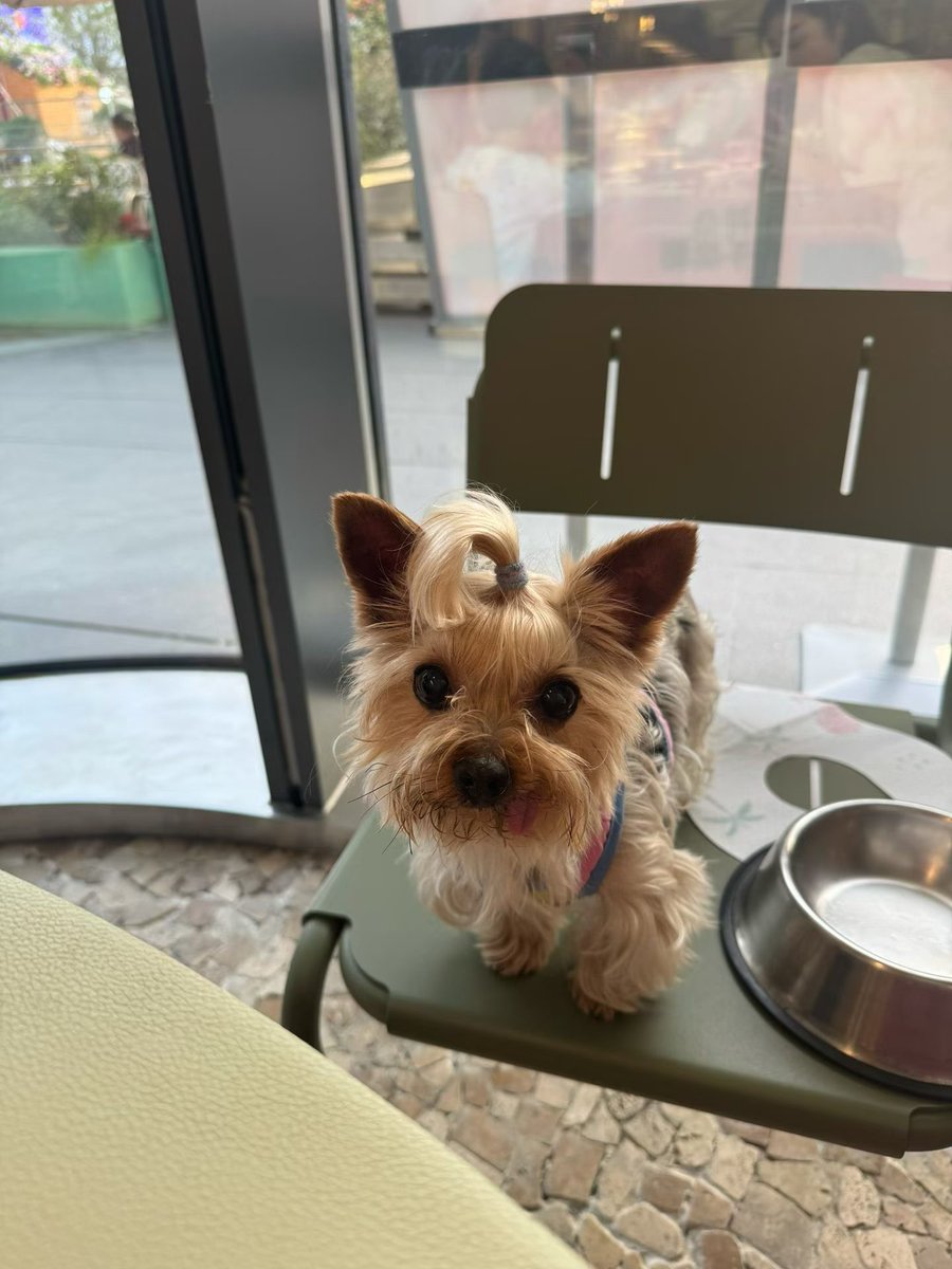 惹尘埃 tweet media