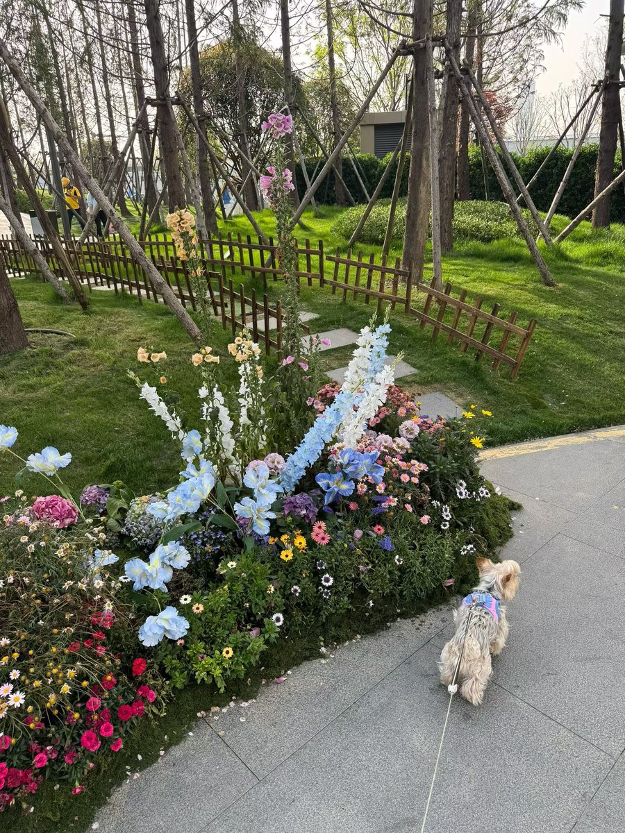 惹尘埃 tweet media